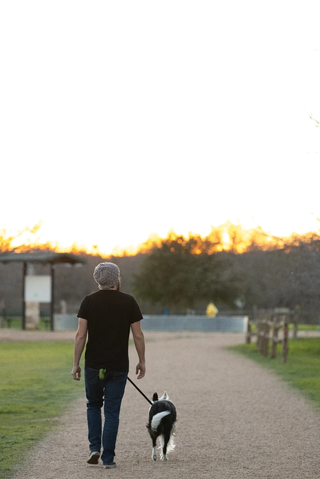 Person walking a dog along a park path at sunset photographed by Anthony